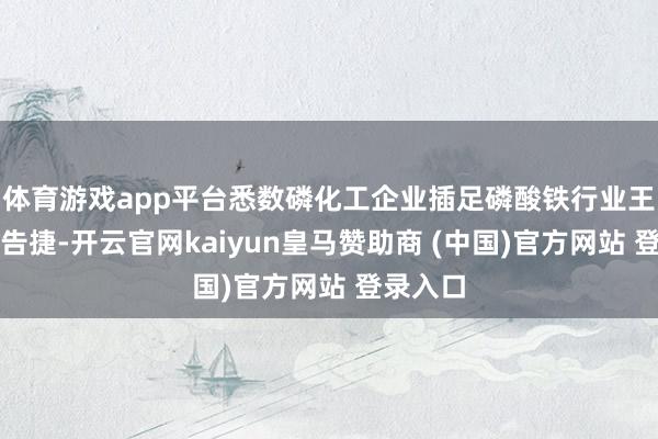 體育游戲app平臺悉數(shù)磷化工企業(yè)插足磷酸鐵行業(yè)王人不算告捷-開云官網(wǎng)kaiyun皇馬贊助商 (中國)官方網(wǎng)站 登錄入口